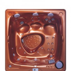 SPA бассейны и гидромассажные ванны SPA бассейн USSPA Aston